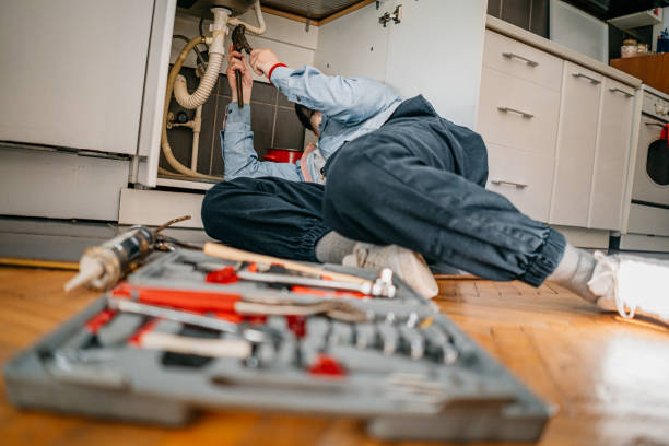 Best Pipe Repair Near Me  in Laurel, DE