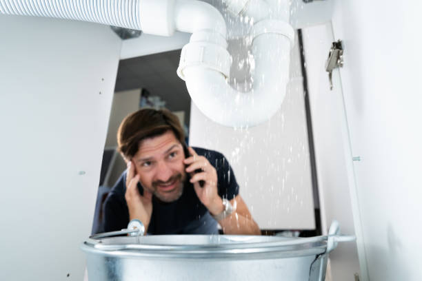 Best Shower Repair Services  in Laurel, DE