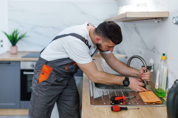Best Plumbing Inspection Services  in Laurel, DE