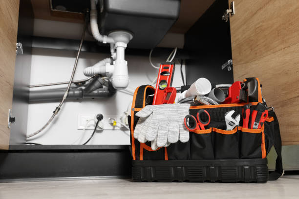 Best Emergency Plumber  in Laurel, DE